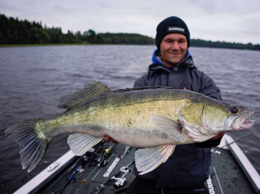 Moderne sportsfiske handler i stor grad om kunnskap. Det å kunne lese vannet, forstå hvor fisken står og tilpasse teknikkene deretter er noe av det mest fascinerende med denne typen fiske.