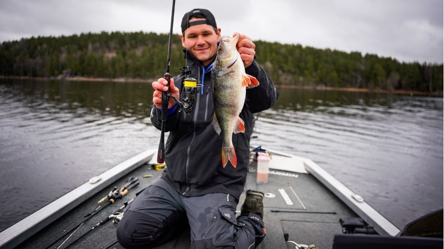 Sportsfisker i båt viser abbor og fiskeutstyr under vårfiske